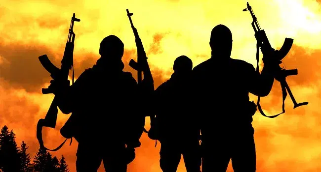 Gunmen Abduct Pastor and Two Others on Kaduna Farm