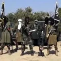 B'Haram Scare in Borno: Villagers Seek Refuge on Cameroonian Streets
