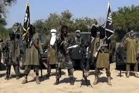 B'Haram Scare in Borno: Villagers Seek Refuge on Cameroonian Streets