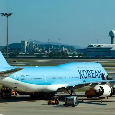 South Korean workers detained in US return home