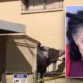 Arizona Girl Death Ruled Homicide After Alleged Confinement in Makeshift Cage 4 Arizona Girl Death Ruled Homicide After Alleged Confinement in Makeshift Cage