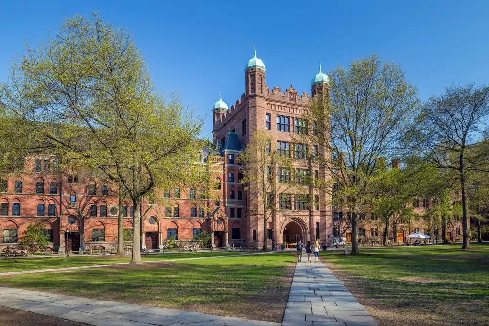 Elon Musk EVISCERATES Yale for having ZERO Republican faculty across 30 departments