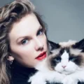Taylor Swift Donates to Vanderbilt Children’s Hospital Cancer Program