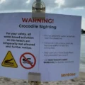 Sentosa Crocodile Sighting Halts Water Activities at 3 Beaches