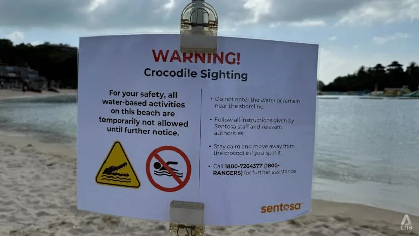 Sentosa Crocodile Sighting Halts Water Activities at 3 Beaches 1 Sentosa Crocodile Sighting Halts Water Activities at 3 Beaches