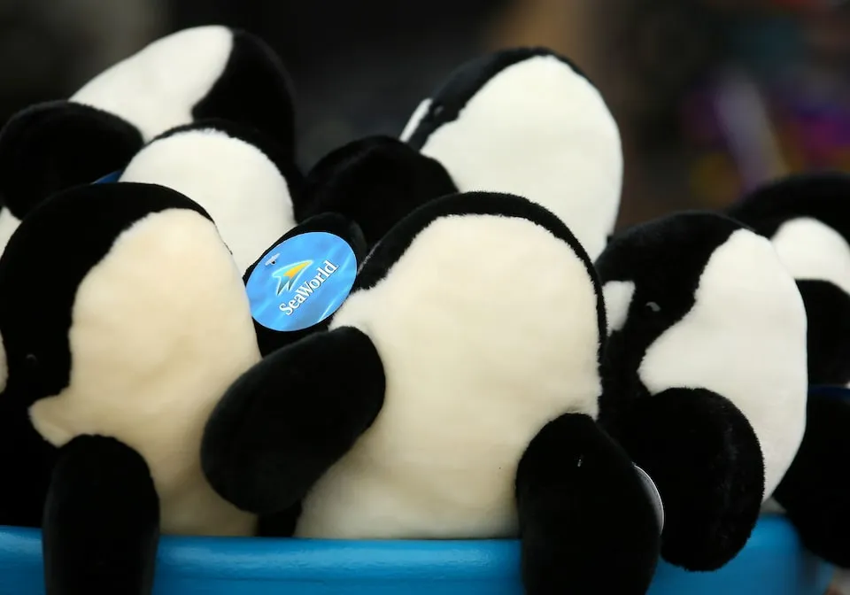 Sesame Workshop Sues SeaWorld for ‘Rogue’ Brand Abuse