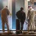 Three Brothers Arrested in Oslo US Embassy Bombing