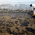 Energy Secretary Directs Oil Restart Off California Coast 5 Energy Secretary Directs Oil Restart Off California Coast