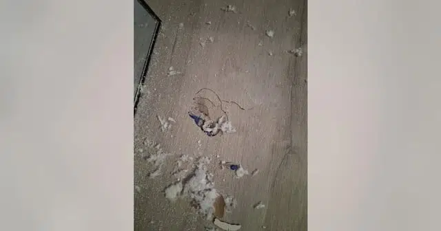 Meteorite Hits Houston Home After Fireball Sparks Citywide Boom 7 Meteorite Hits Houston Home After Fireball Sparks Citywide Boom