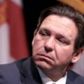 Democrats Mock DeSantis Dummymander Redistricting Map