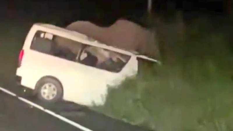 Three Revenue Officials Killed After Minibus Crashes Into Elephant in Uganda National Park 4 Three Revenue Officials Killed After Minibus Crashes Into Elephant in Uganda National Park