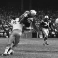 Hall of Fame Legend Raymond Berry Dies at 93