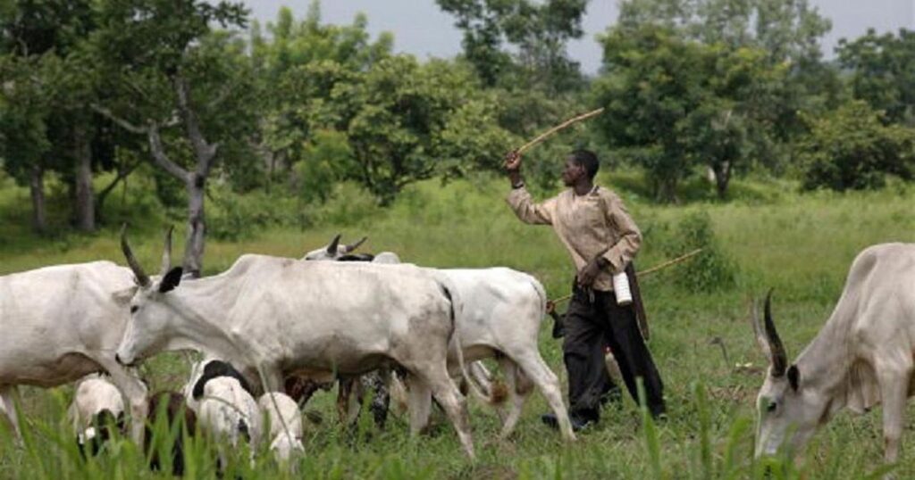 2 Herders Arraigned in Court Over Alleged Unlawful Grazing 15 2 Herders Arraigned in Court Over Alleged Unlawful Grazing