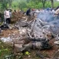 Tourist Helicopter Crashes in Kenya, Killing All Seven People on Board